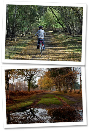 Girl Cycling on Skipwith Common